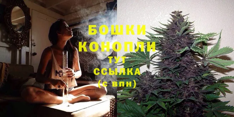 кракен вход  Биробиджан  Бошки Шишки THC 21%  наркотики 